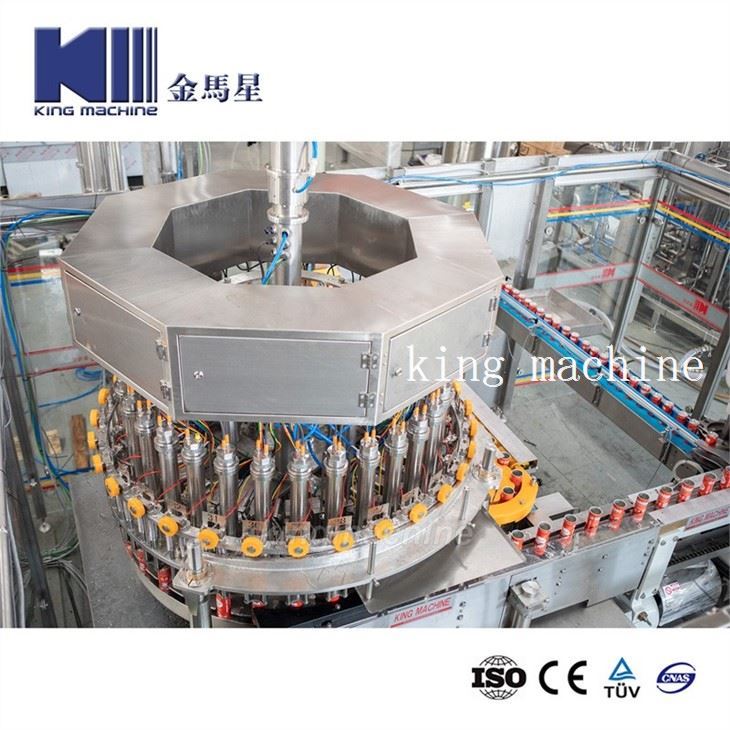 Can Filling Sealing Machine